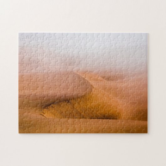 Foggy Namib Desert Puzzle (Horizontal)