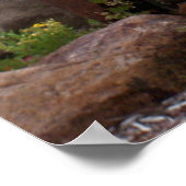 Foggy North Shore Poster (Ecke)