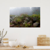 Foggy North Shore Poster (Küche)