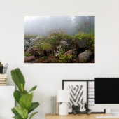Foggy North Shore Poster (Heimbüro)