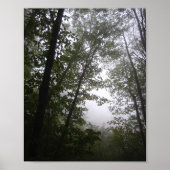 Foggy Pacific Dogwoods Forest Poster (Vorne)