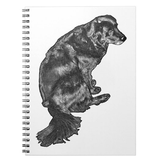 Foggy Plans & Paws — Retriever Notizblock (Vorderseite)