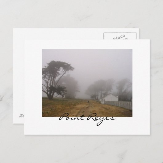 Foggy Point Reyes Postcard Postkarte (Vorne/Hinten)