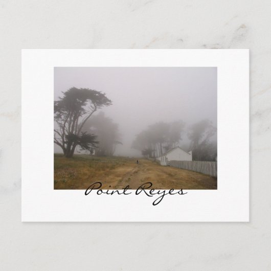 Foggy Point Reyes Postcard Postkarte (Vorderseite)