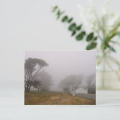 Foggy Point Reyes Postcard Postkarte (Stehend Vorderseite)