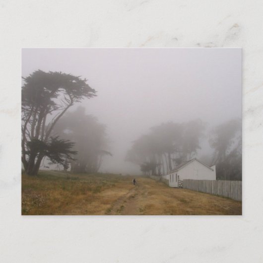 Foggy Point Reyes Postcard Postkarte (Vorderseite)