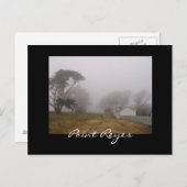 Foggy Point Reyes Postcard Postkarte (Vorne/Hinten)