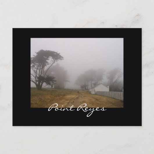 Foggy Point Reyes Postcard Postkarte (Vorderseite)
