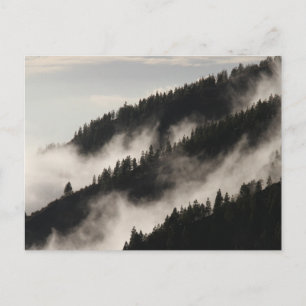 Foggy Rocky Mountains Colorado USA Adventure Postkarte