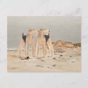 Foggy Seaside Postkarte