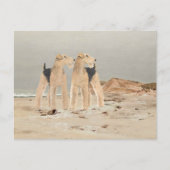 Foggy Seaside Postkarte (Vorderseite)