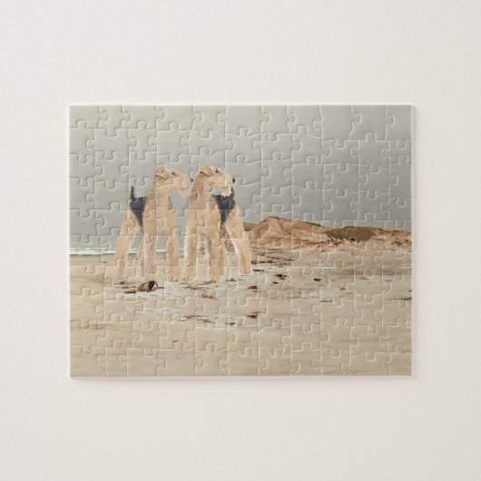 Foggy Seaside Puzzle (Horizontal)