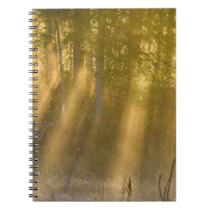 Foggy Sonnenaufgang Tamarac NWR bei der Burg von D Notizblock