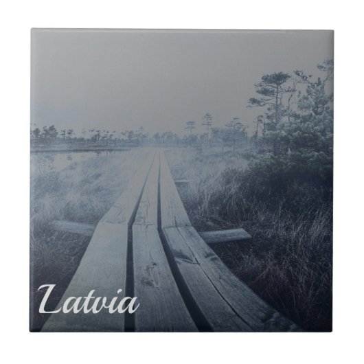 Foggy swamp landscape fliese (Vorderseite)