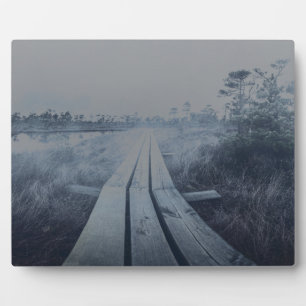 Foggy swamp landscape fotoplatte