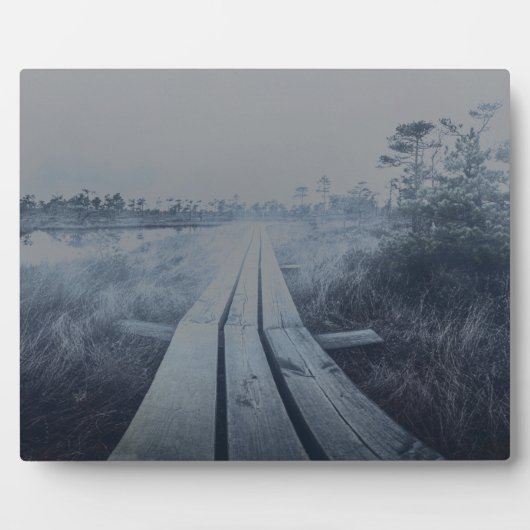 Foggy swamp landscape fotoplatte (Vorderseite)