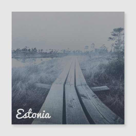 Foggy swamp landscape magnetkarte (Vorderseite)