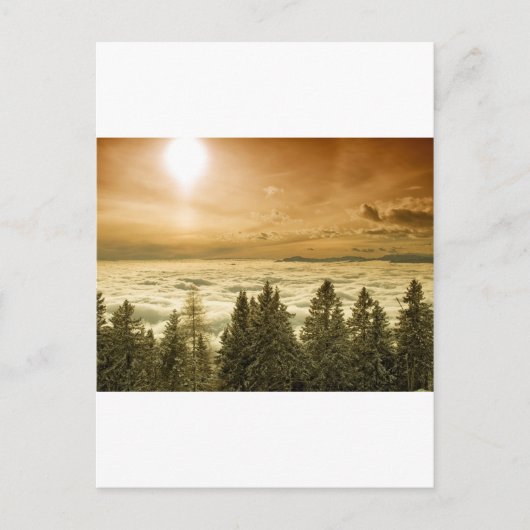 Foggy Tal Postkarte (Vorderseite)