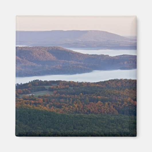 Foggy Täler und Herbstpflanzen in Ozark Magnet (Vorne)