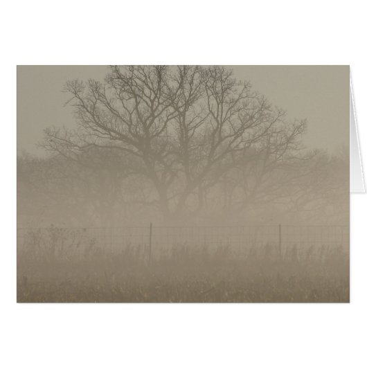 Foggy Tree (Vorderseite (Horizontal))