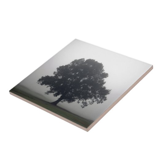 Foggy Tree Fliese (Seite)