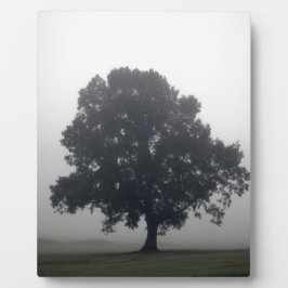 Foggy Tree Fotoplatte