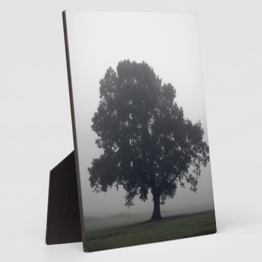 Foggy Tree Fotoplatte (Seite)