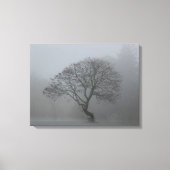 Foggy Tree Leinwanddruck (Vorderseite)