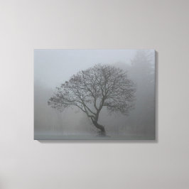 Foggy Tree Leinwanddruck