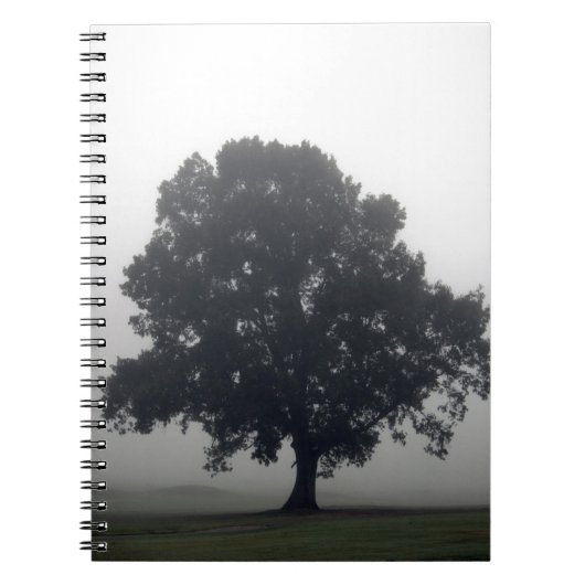 Foggy Tree Notizblock (Vorderseite)