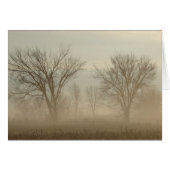 Foggy Trees (Vorderseite (Horizontal))