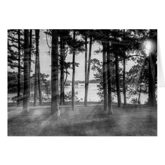 Foggy Trees an Table Rock Graustufen (Vorderseite (Horizontal))