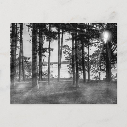 Foggy Trees an Table Rock Graustufen Postkarte (Vorderseite)