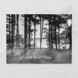 Foggy Trees an Table Rock Graustufen werden gut Postkarte