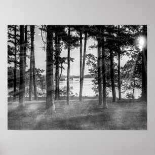 Foggy Trees an Table Rock Grayscape Poster