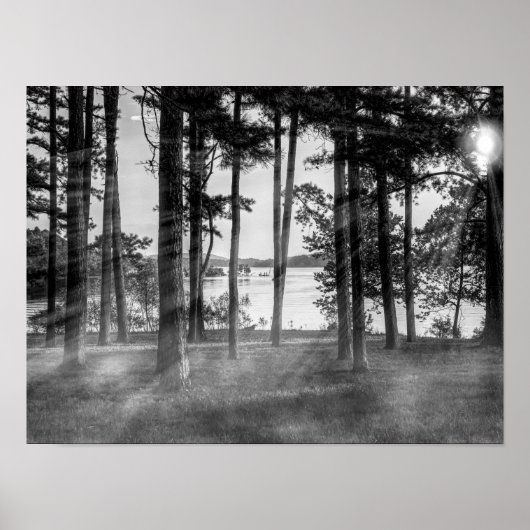 Foggy Trees an Table Rock Grayscape Poster (Vorne)