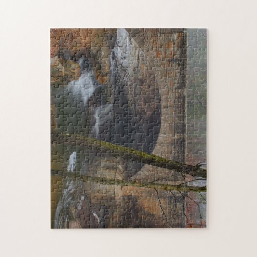Foggy Waterfall im Cleveland Metro Parks Puzzle (Vertikal)
