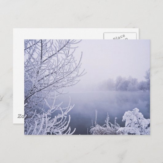 Foggy Winter Day am Fluss Postkarte (Vorne/Hinten)