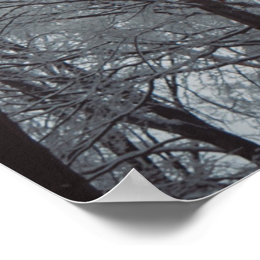 Foggy Winter Forest Poster (Ecke)