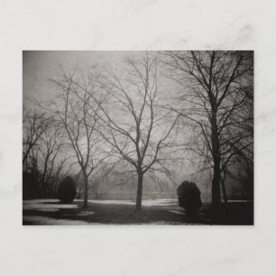 Foggy Winter Melken Snow Postkarte