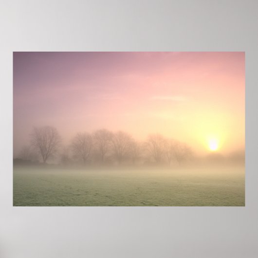 Foggy Winter Sunrise (6598) Poster (Vorne)
