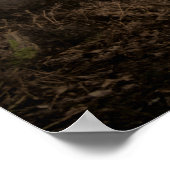 Foggy Woodland Rushmere Country Park (0837) Poster (Ecke)