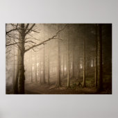 Foggy Woodland Rushmere Country Park (0845) Poster (Vorne)