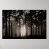 Foggy Woodland Rushmere Country Park (0872) Poster (Vorne)