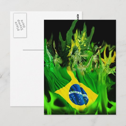 Fogo de Brasil Postkarte (Vorne/Hinten)