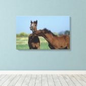 Fohlen 2 leinwanddruck (Insitu (Holzboden))