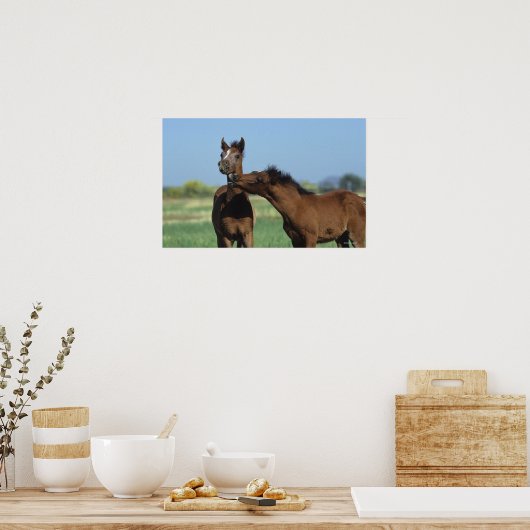 Fohlen 2 poster (Küche)