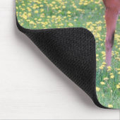 Fohlen auf Löwenzahnfeld Mousepad (Ecke)