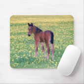 Fohlen auf Löwenzahnfeld Mousepad (Mit Mouse)