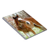 FOHLEN-BABY-PONY des PFERD2cute Notizblock (Rechte Seite)